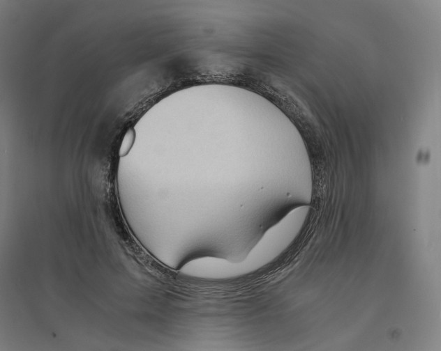 X0000094450599200712061202