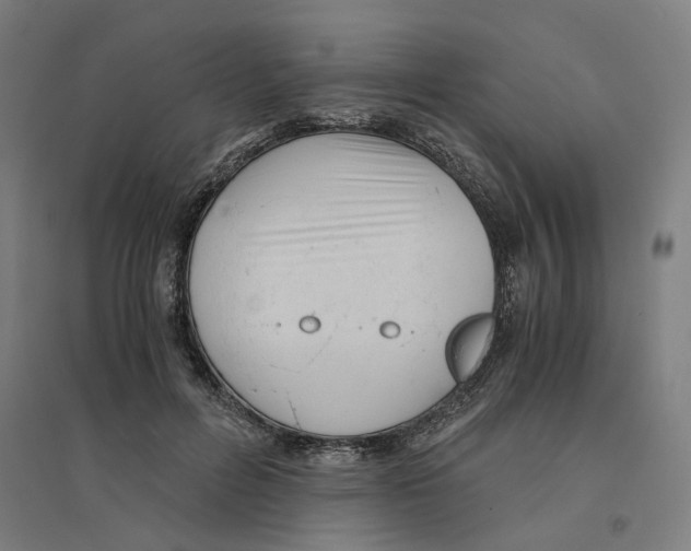 X0000094450600200712061202