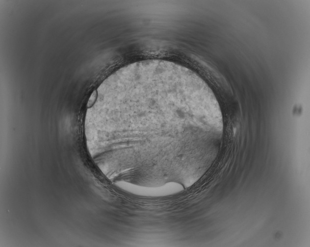 X0000094450601200712061202