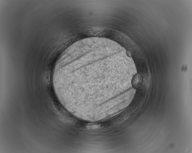 X0000094450602200712061202