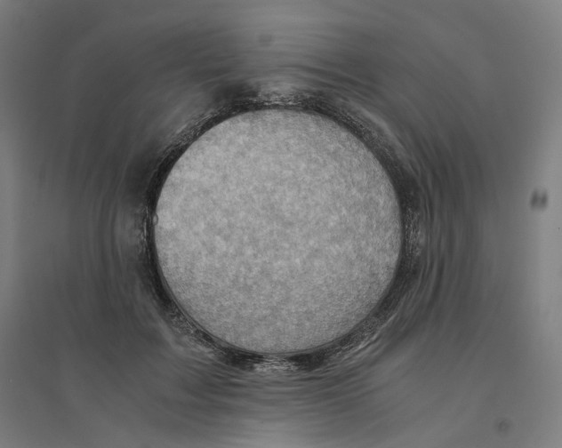 X0000094450603200712061202