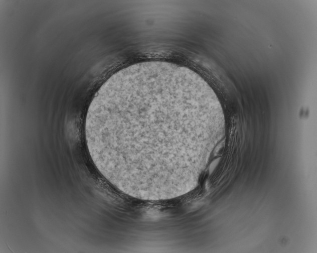 X0000094450604200712061202