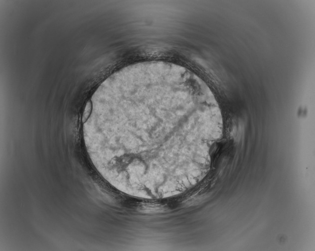 X0000094450605200712061202