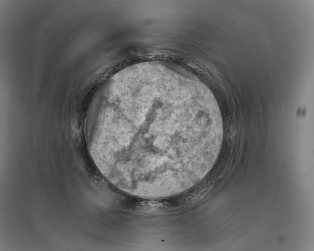 X0000094450607200712061202