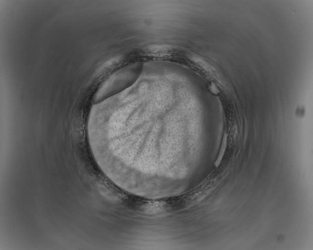 X0000094450609200712061202