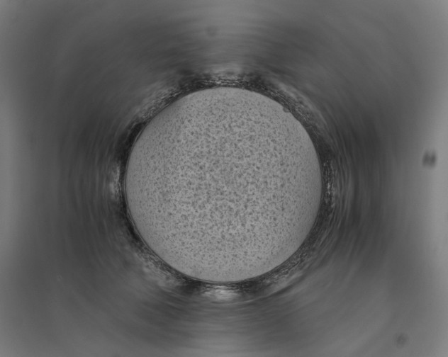 X0000094450610200712061202