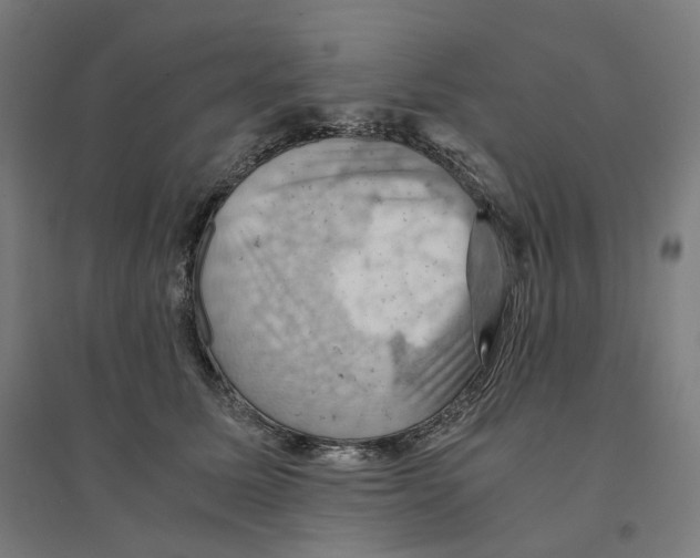 X0000094450611200712061202