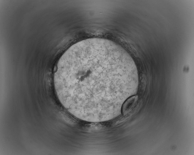 X0000094450612200712061202