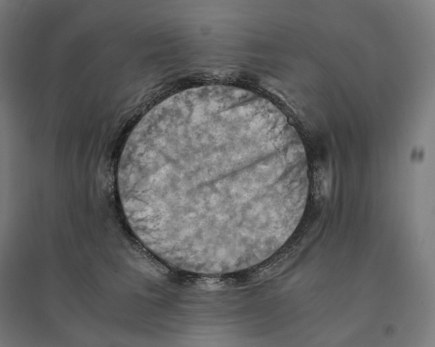 X0000094450613200712061202