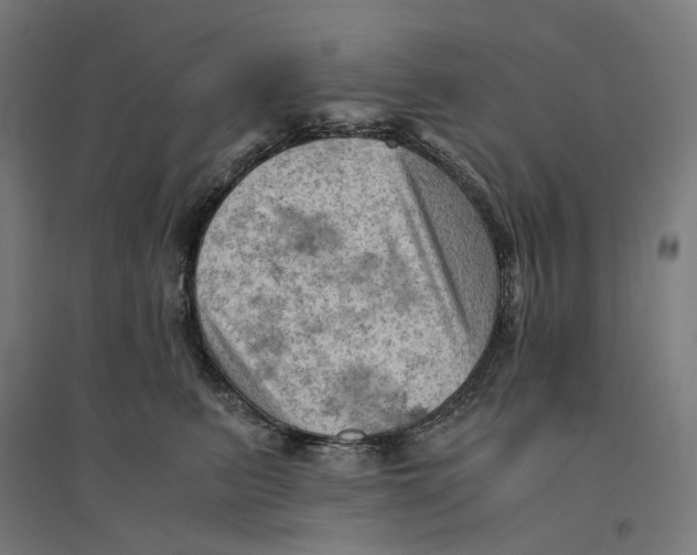 X0000094450615200712061202