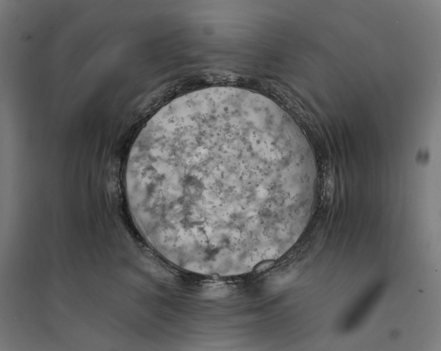 X0000094450616200712061202