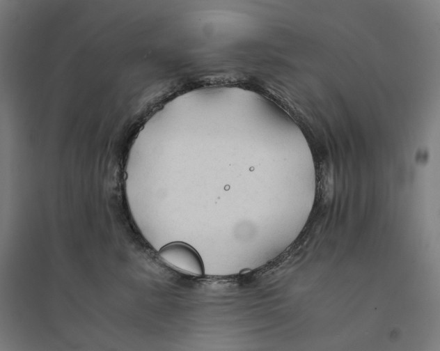 X0000094450619200712061202