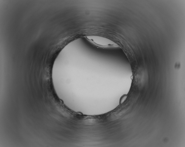 X0000094450620200712061202