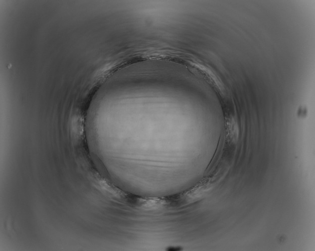 X0000094450621200712061202