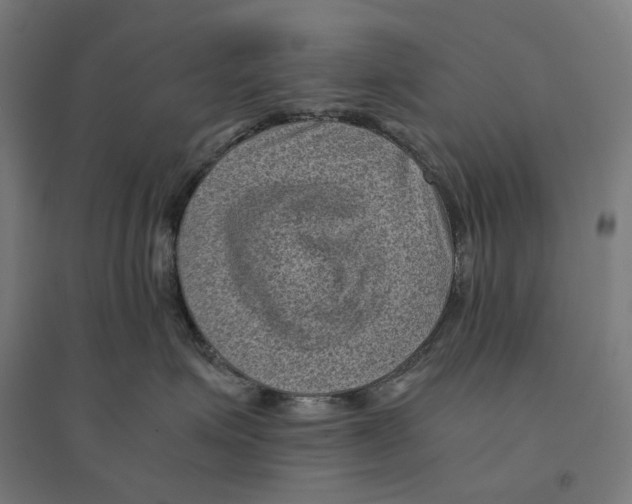 X0000094450623200712061202