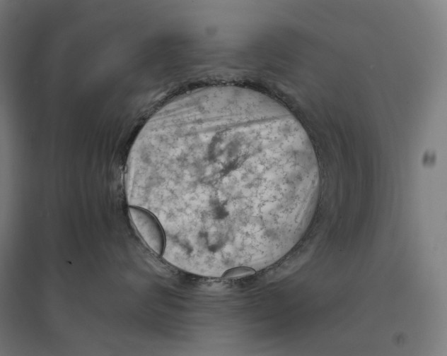 X0000094450624200712061202