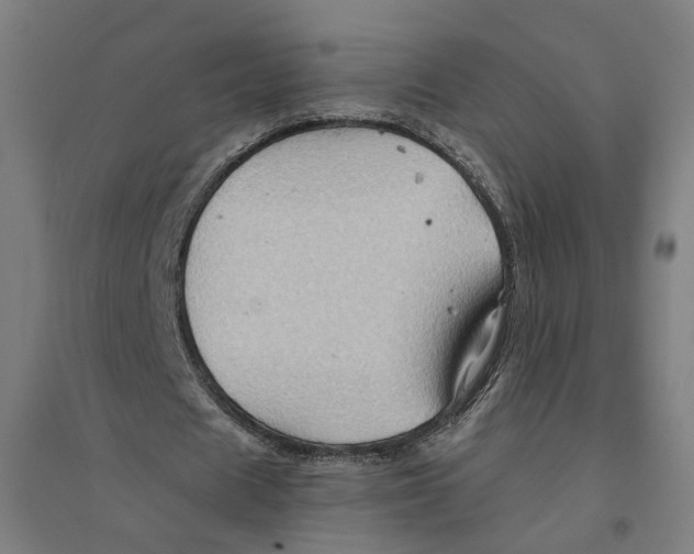 X0000094450625200712061201