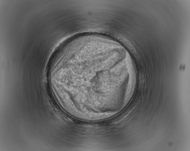 X0000094450628200712061201