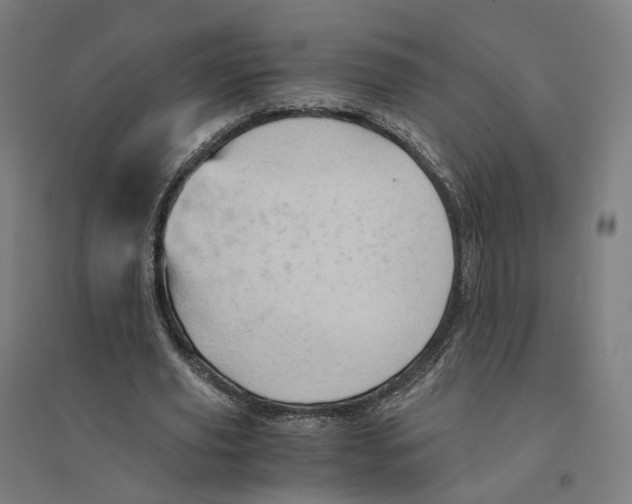 X0000094450629200712061201