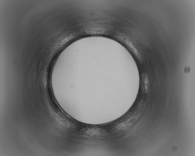 X0000094450631200712061201