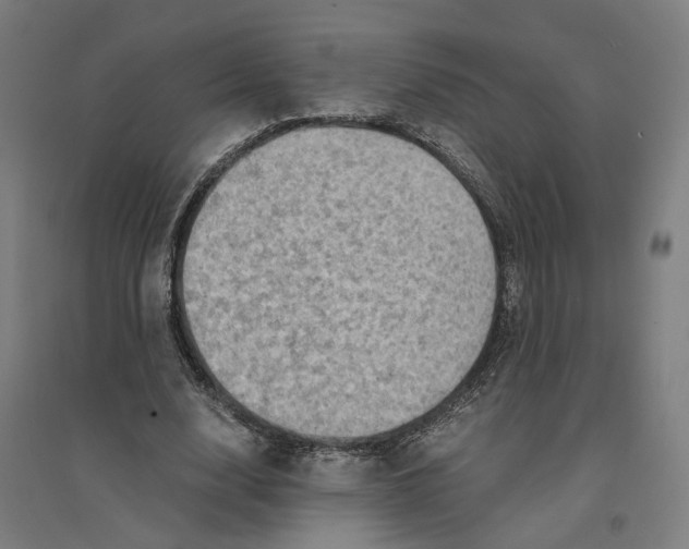 X0000094450632200712061201