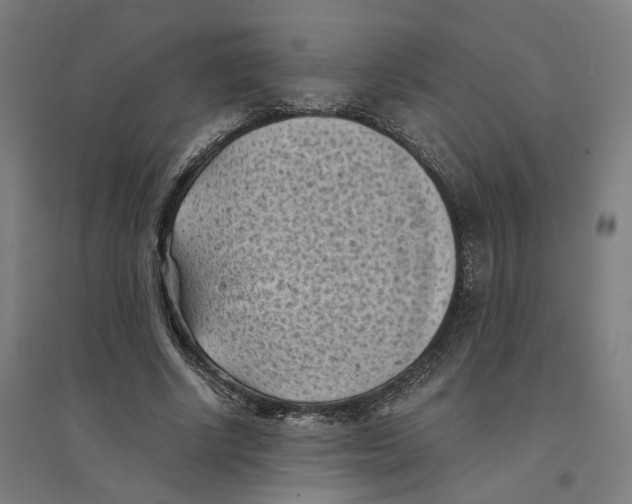 X0000094450634200712061201