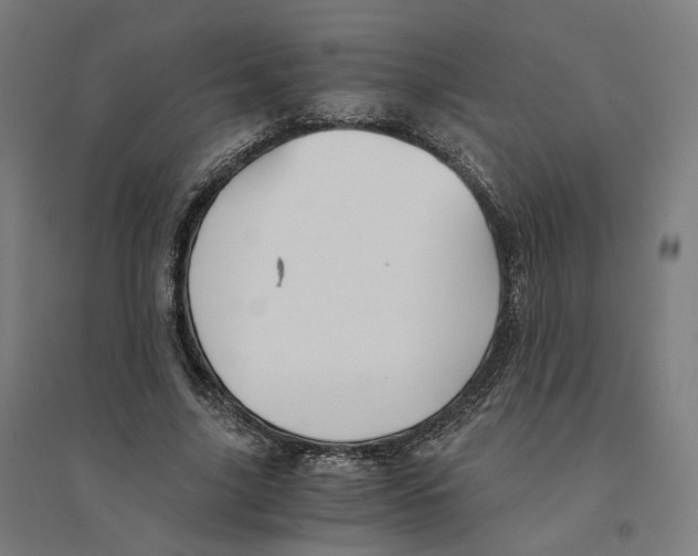 X0000094450635200712061201