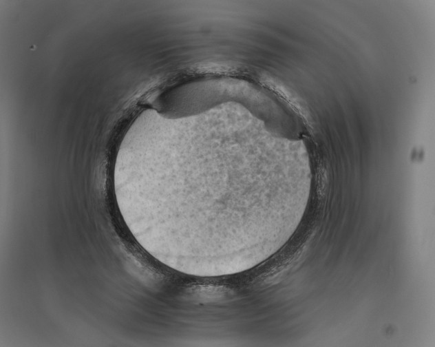 X0000094450637200712061201