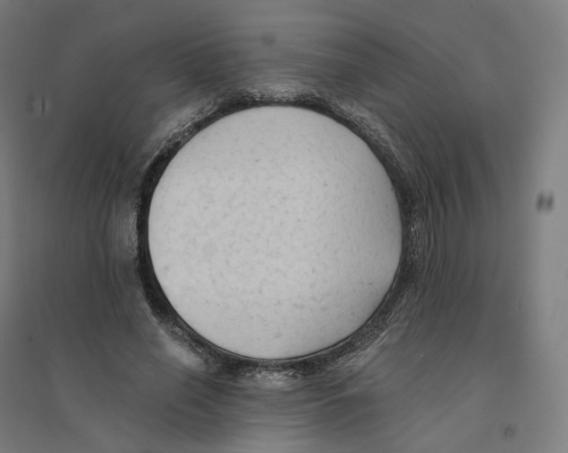 X0000094450638200712061201