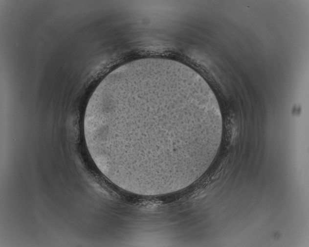 X0000094450642200712061201