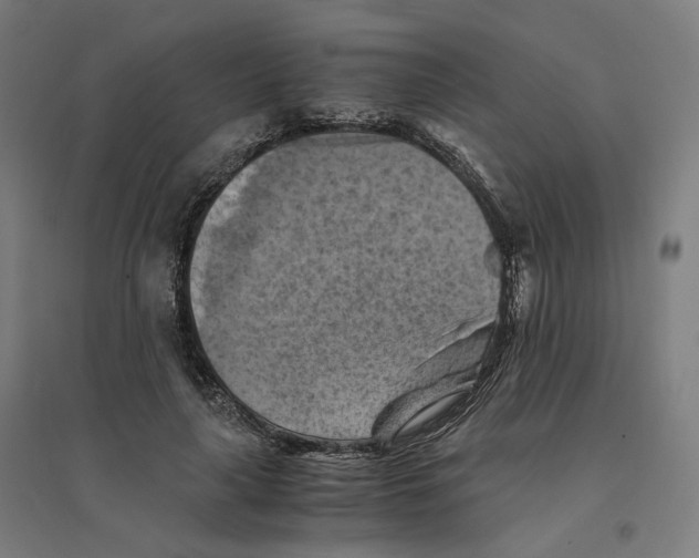 X0000094450643200712061201