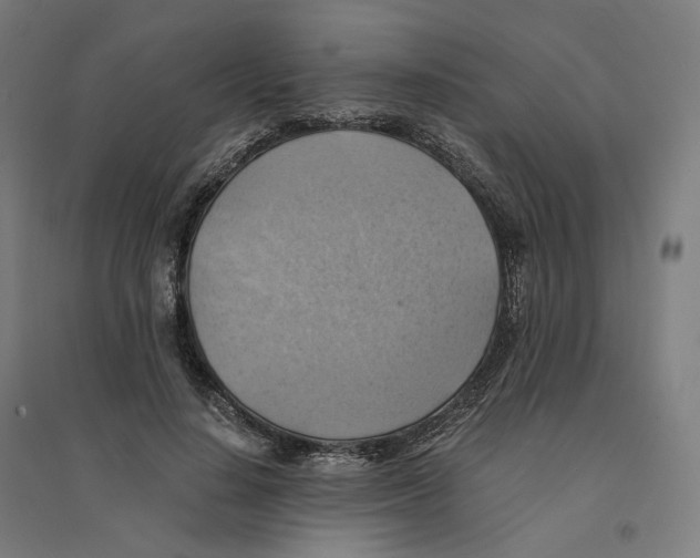 X0000094450644200712061201