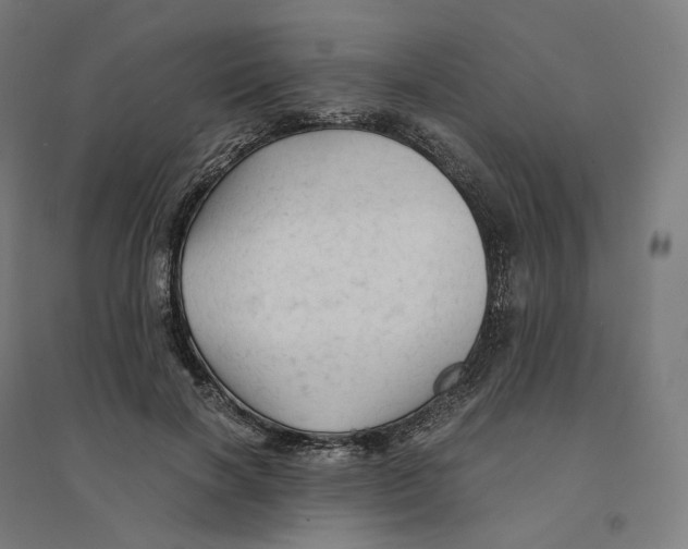 X0000094450646200712061201