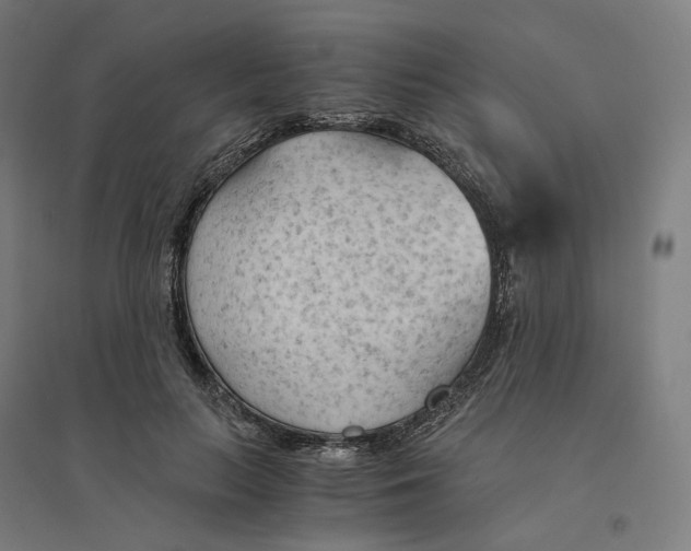 X0000094450647200712061201