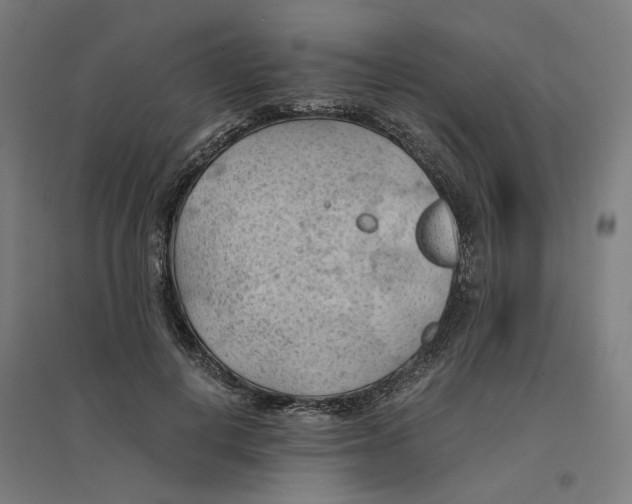 X0000094450648200712061201