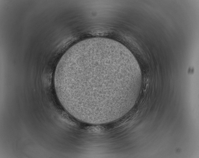 X0000094450652200712061201