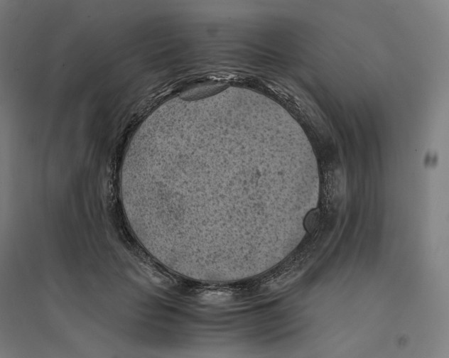 X0000094450653200712061201