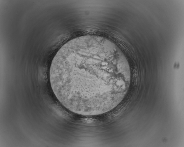 X0000094450654200712061201