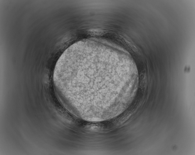 X0000094450655200712061201