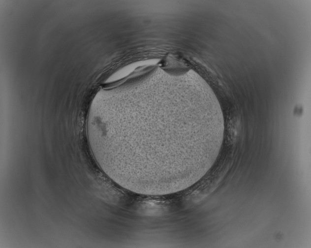 X0000094450657200712061201