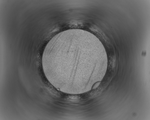 X0000094450659200712061201