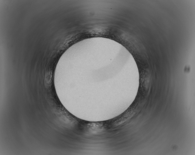 X0000094450660200712061201