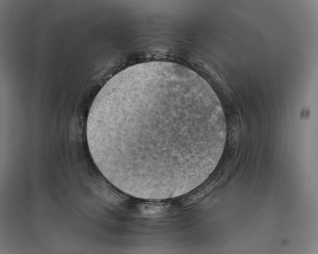 X0000094450661200712061201