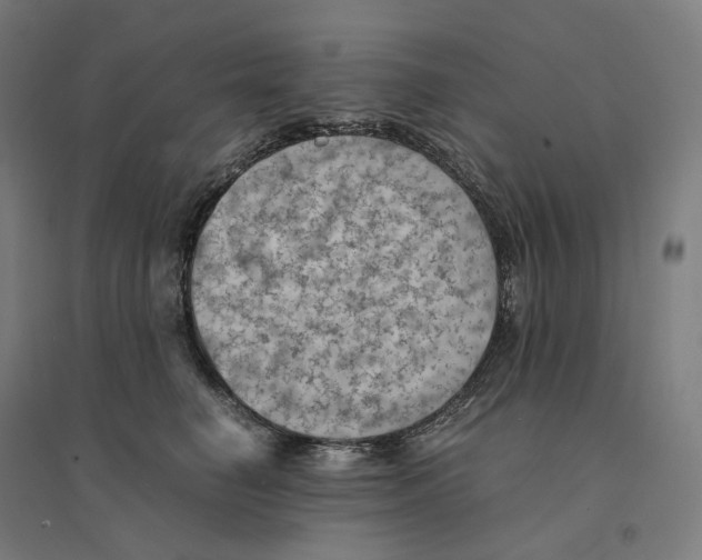 X0000094450662200712061201