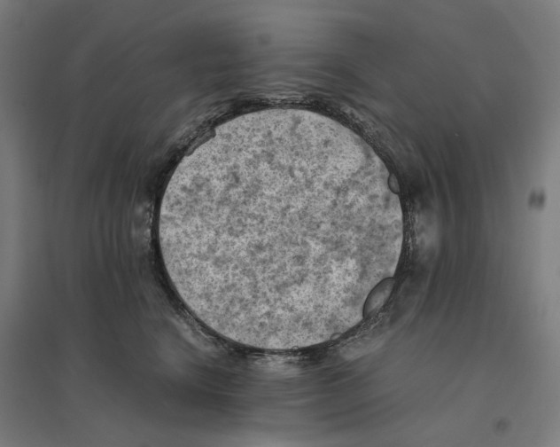 X0000094450664200712061201