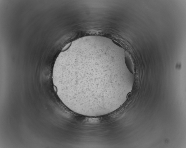 X0000094450665200712061201