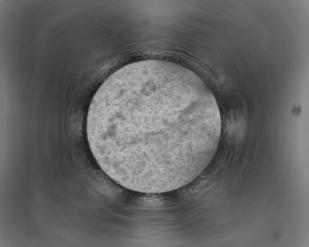 X0000094450668200712061201