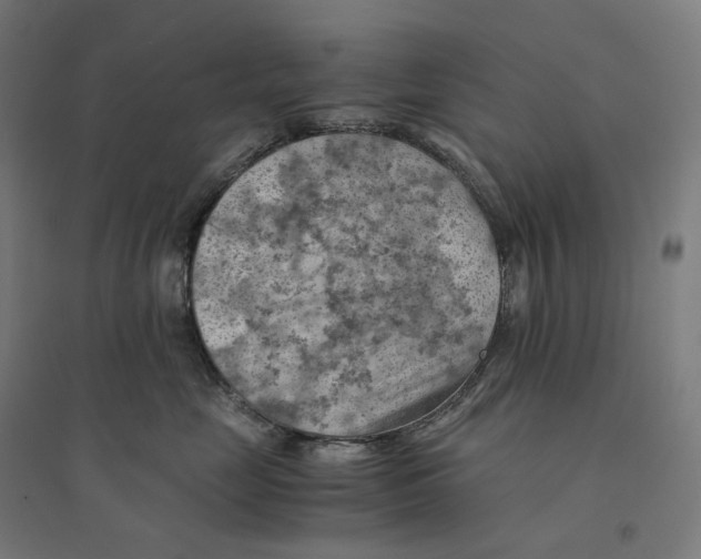 X0000094450669200712061201