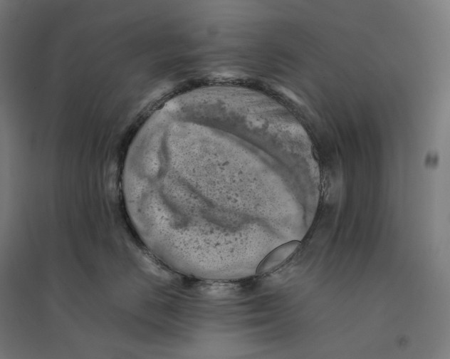 X0000094450670200712061201