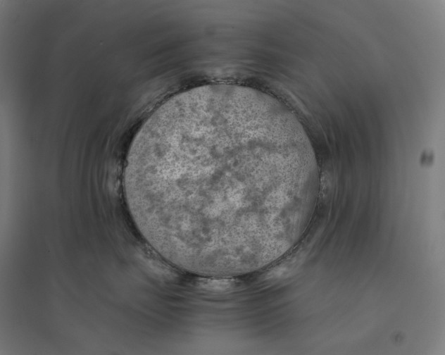 X0000094450671200712061201